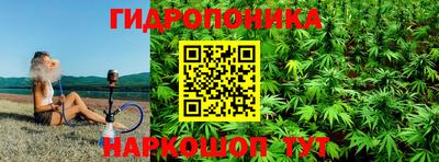 амф Тверь