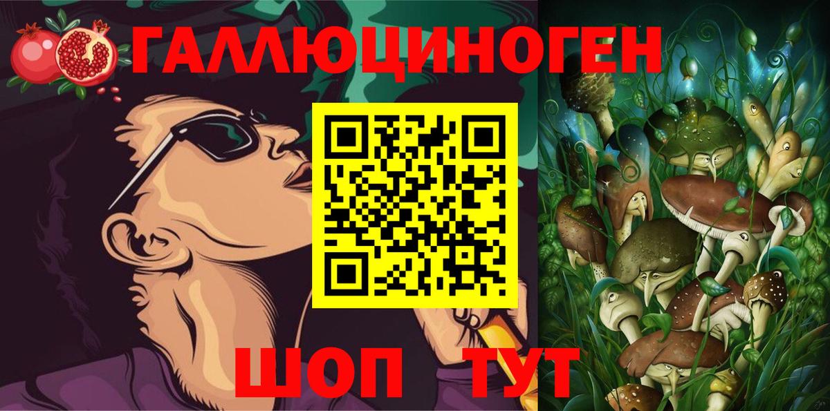 Набережные Челны  Галлюциногенные грибы Psilocybe  Вход с VPN 